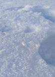 20230119_105818 (Large).jpg (280286 bytes)